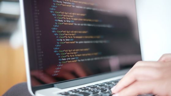 Shopify Developer